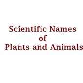 Scientific Names of Plants and Animals on 9Apps