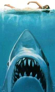 Shark live Wallpaper screenshot 4