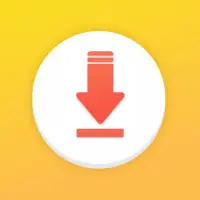 Online Video Downloader