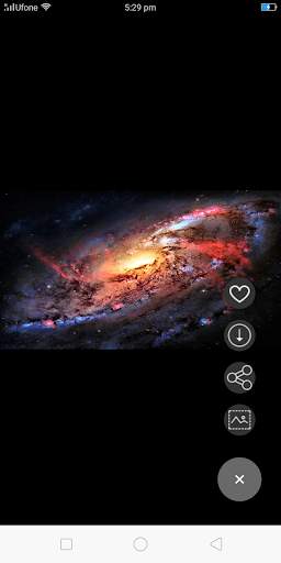 Wallpapers HD - Browse & Download Huge Collections screenshot 4