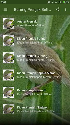 Suara Burung Prenjak Betina Pikat screenshot 2