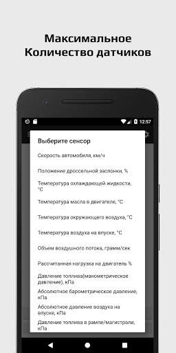 Диагностика авто: OBD2 автосканер ошибок RuTorque скриншот 6