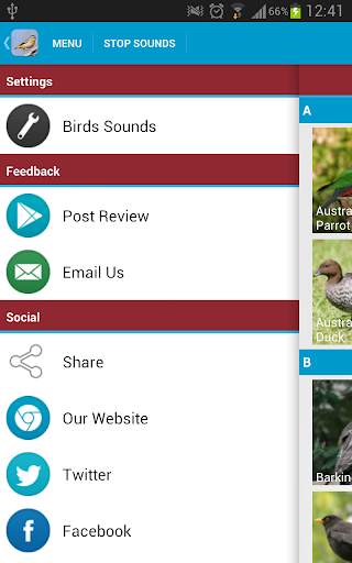Australian Birds Sounds Free स्क्रीनशॉट 8