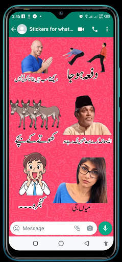 Funny Urdu Stickers for Whatsapp - Urdu Stickers screenshot 8