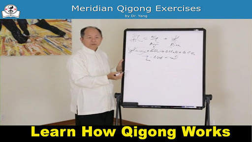 Meridian Qigong Exercises screenshot 8
