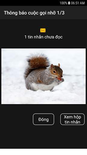 Thông báo cuộc gọi nhỡ screenshot 3