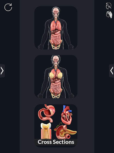 My Organs Anatomy screenshot 10