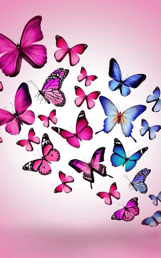 Pink Butterfly Live Wallapper screenshot 3