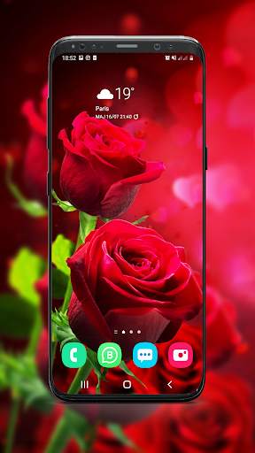 Backgrounds and Wallpapers ( Offline ) screenshot 11