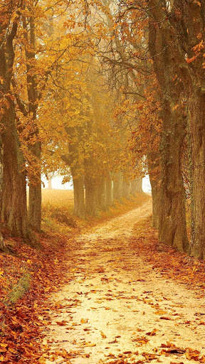 Magic touch: Autumn screenshot 3