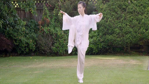 Tai Chi for Beginners - 48 Form (YMAA) screenshot 8