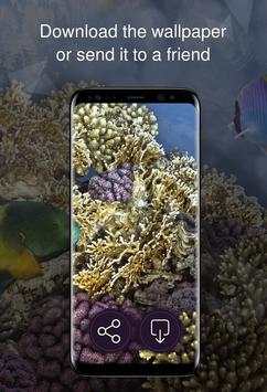 Wallpaper 4K with reefs screenshot 6