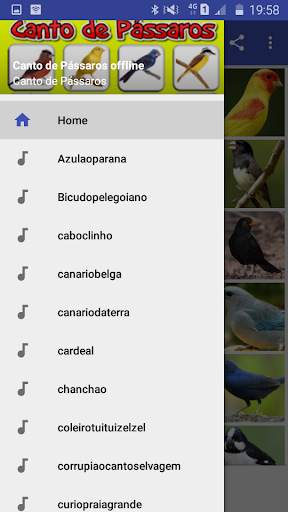 Canto de Pássaros offline screenshot 2