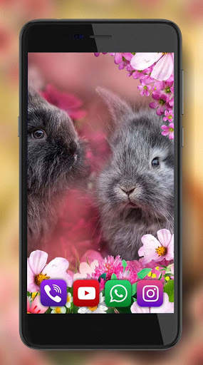 Bunny Funny HD Live Wallpaper screenshot 5
