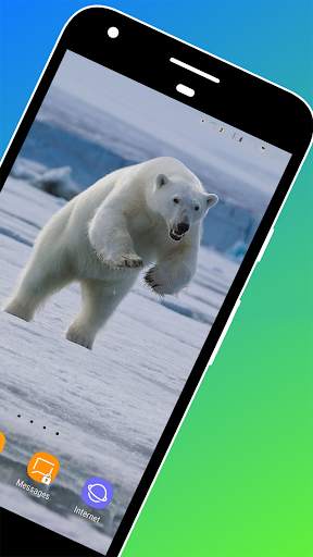 New Polar Bear Wallpaper screenshot 2