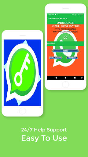WP UNBLOCKER LITE screenshot 5