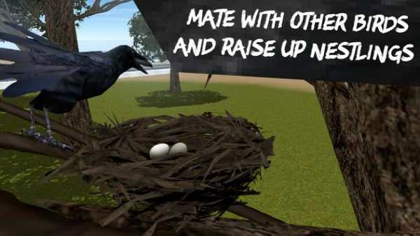 City Bird Crow Simulator 3D screenshot 3