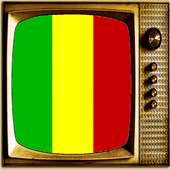 TV Mali Info Channel logo