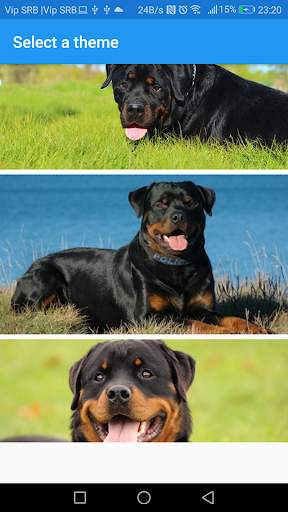 Rottweiler dog Keyboard screenshot 1