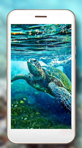 Turtles Sea Live Wallpaper screenshot 4