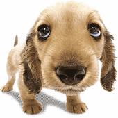 STOP BARKING icon