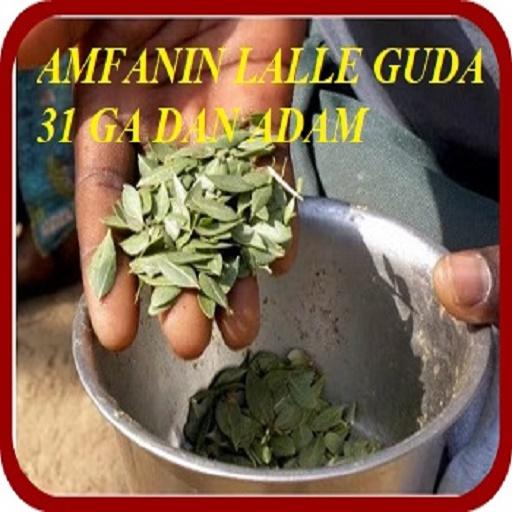 AMFANIN LALLE GUDA 31 GA MUTUM icon