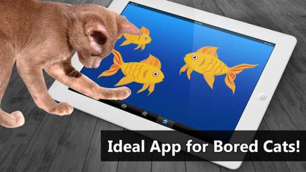Cat Toys - Goldfish Cat Games screenshot 2