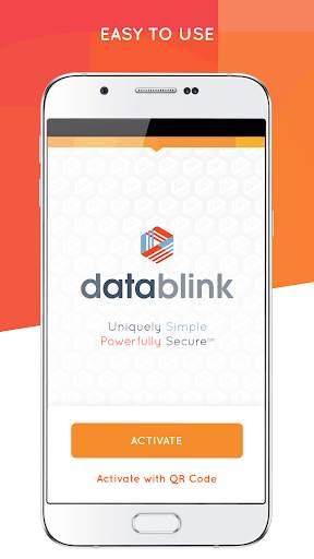 Datablink Mobile 200 screenshot 1