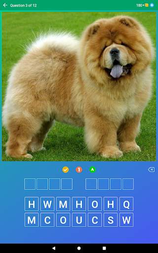 Dog Quiz: Guess the Breed — Game, Pictures, Test screenshot 17