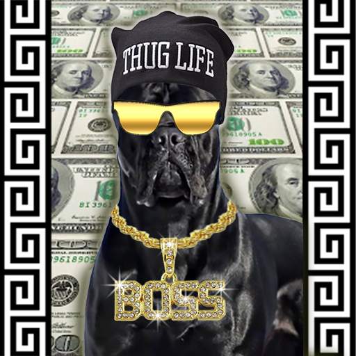 Thug Life Photo Editor – MLG Stickers 1.2