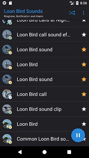 Appp.io - Loon Bird Sounds screenshot 3