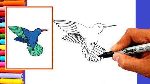 How To Draw Birds New screenshot 4