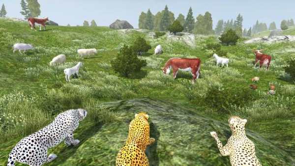 Wild Cheetah Simulator screenshot 4