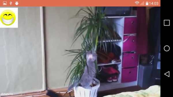 Funny videos for share screenshot 6