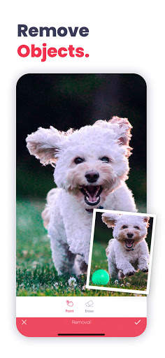 Anylight - Photo Editor screenshot 2