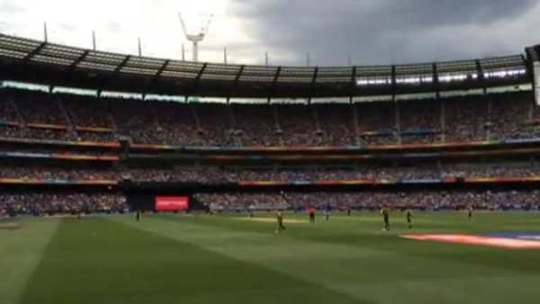 Cricket Live Line screenshot 1