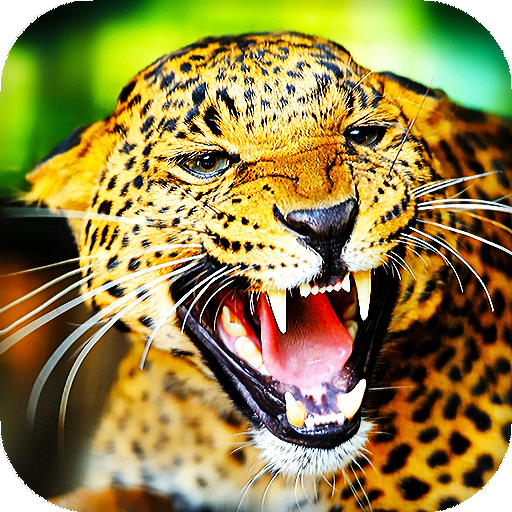 Leopard Live Wallpaper (Wallpapers &amp; Backgrounds) icon