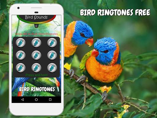 Bird Ringtones Free Download screenshot 2