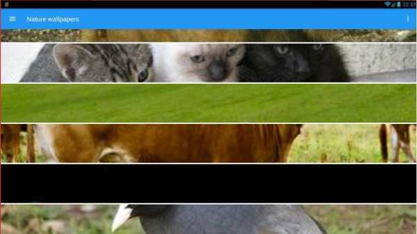 Обои screenshot 2