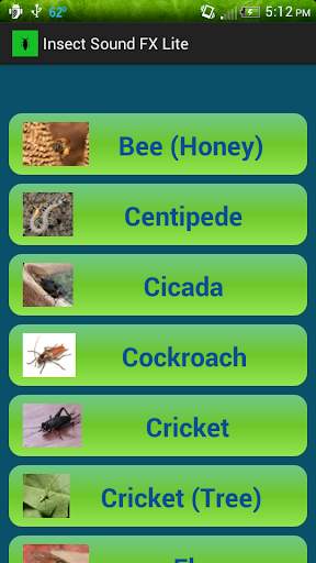 Insect Sound FX Lite screenshot 2