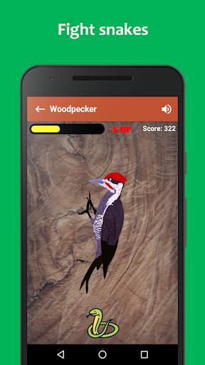 Woodpecker simulator screenshot 3