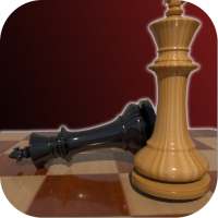 Experts Chess