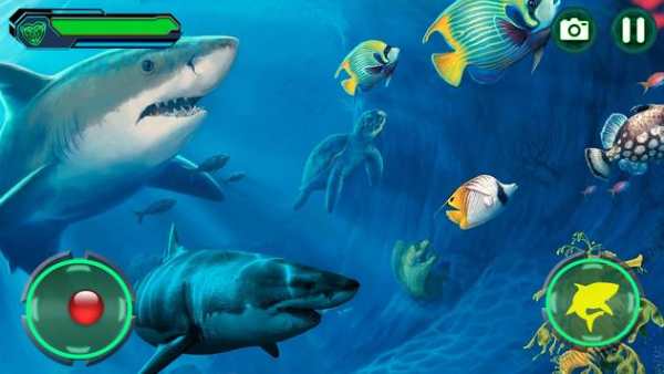Angry Shark screenshot 2