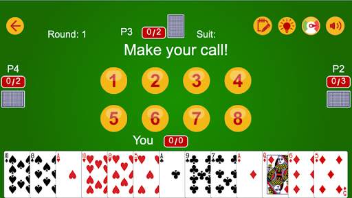 Call Break   screenshot 11