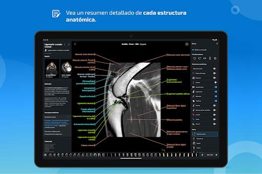vet-Anatomy screenshot 13