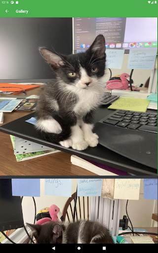 Imgur Browser screenshot 13