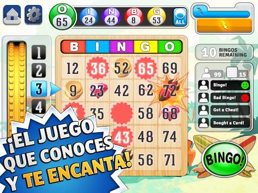 Bingo™ screenshot 2