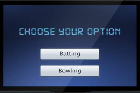 Hand Cricket 3D screenshot 5
