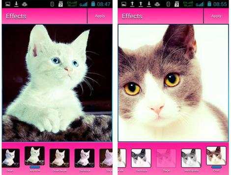 Kawaii Camera DSL screenshot 1