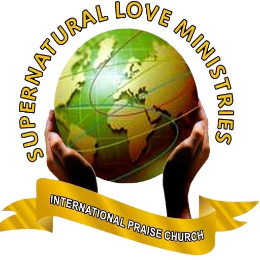 SLM MOBILE web2apk 8
